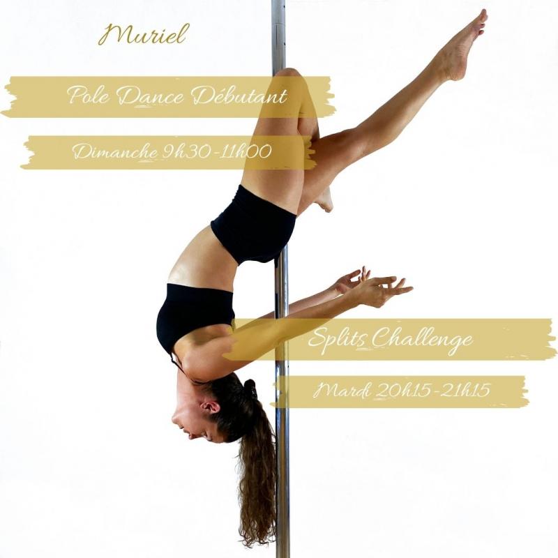 Pole Dance Concept